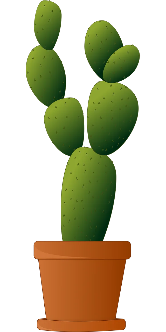 Cactus Plant Potted plant Stickdatei – Natur
