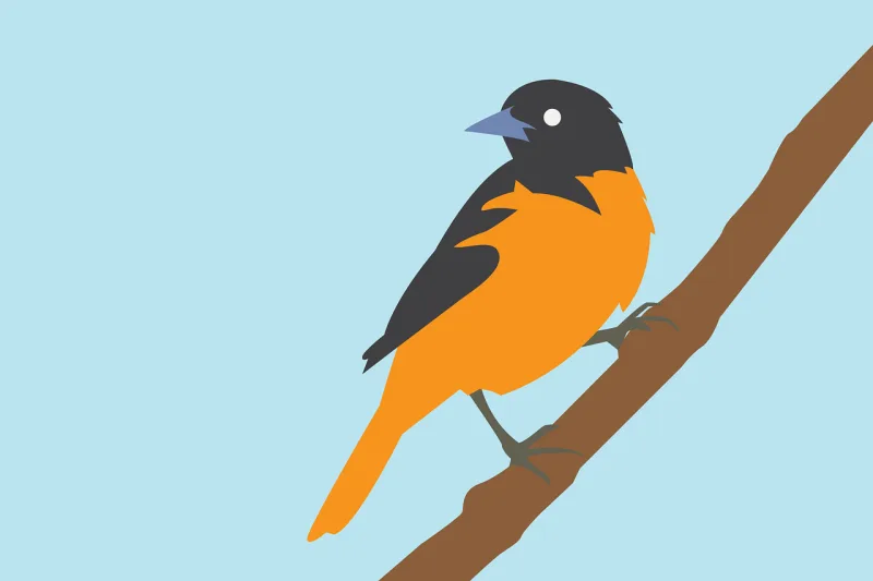 Bird Animal Nature Stickdatei – Tiere
