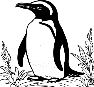 Penguin Animal Antarctica Stickdatei