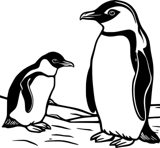 Penguin Animals Antarctica Stickdatei