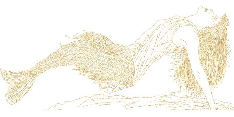 Mermaid Woman Line art Stickdatei – Kinder
