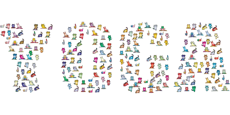 Cats Yoga Typography Stickdatei – Sport
