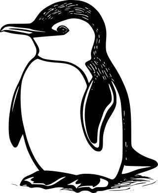 Bird Ornithology Penguin Stickdatei