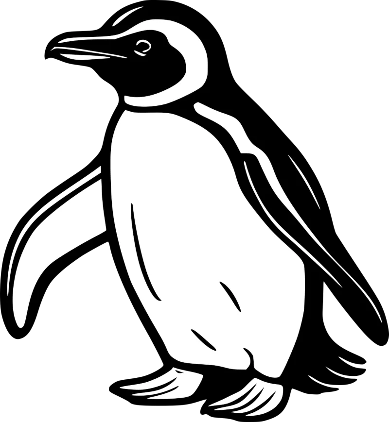 Bird Penguin Ornithology Stickdatei – Tiere
