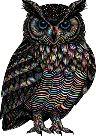 Owl Bird Animal Stickdatei