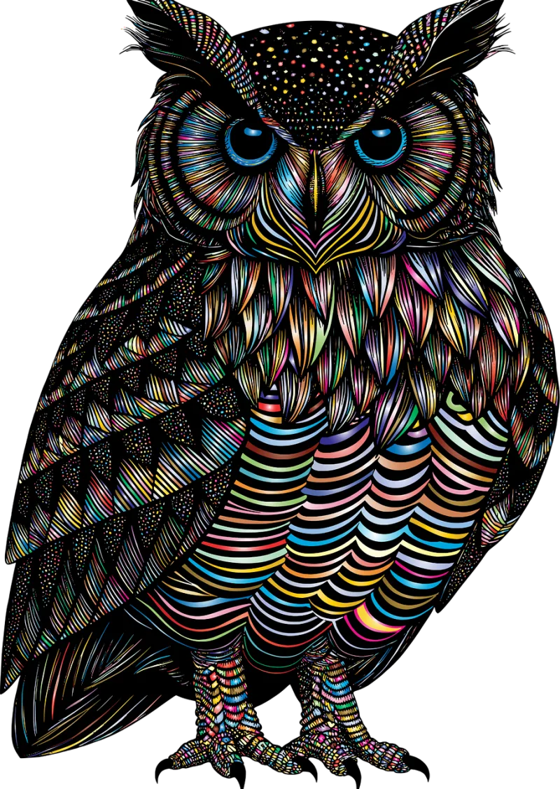 Owl Bird Animal Stickdatei – Tiere