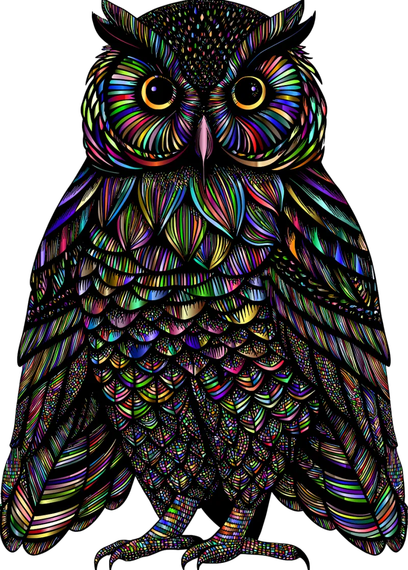 Owl Bird Animal Stickdatei – Tiere