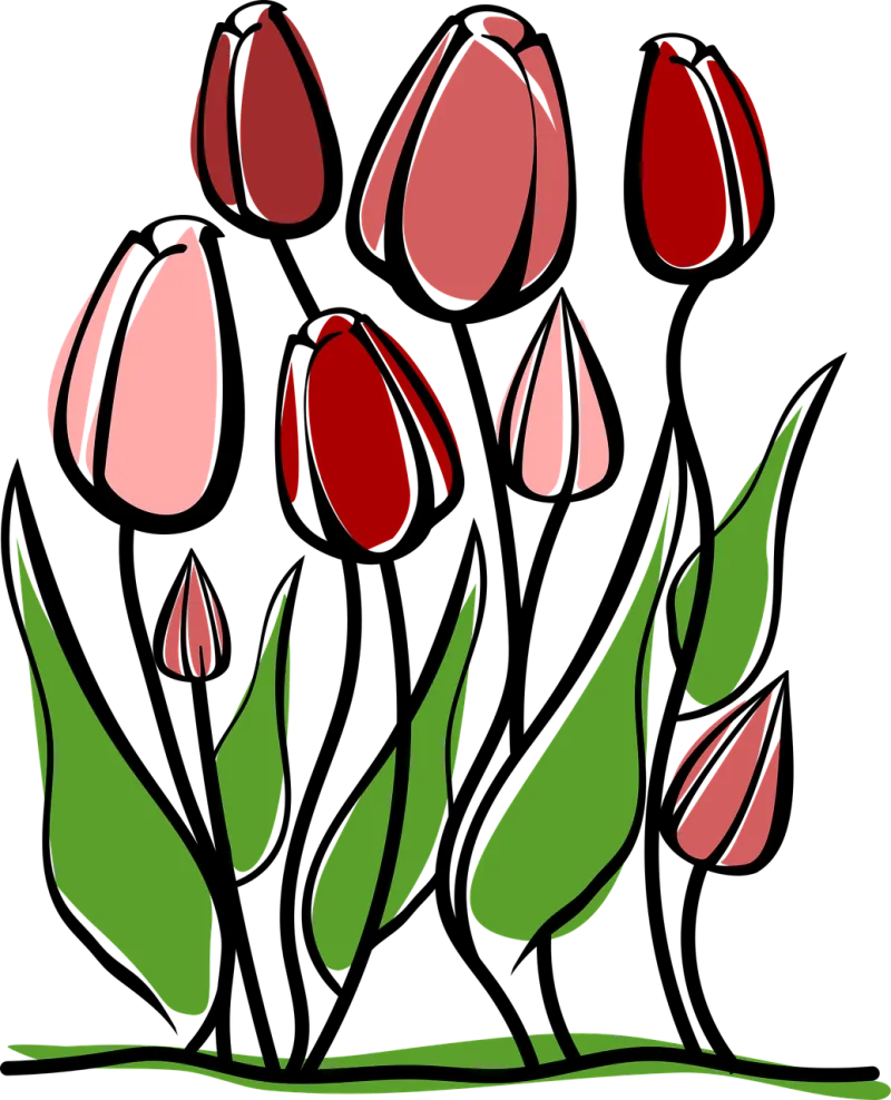 Tulips Flower wallpaper Flowers Stickdatei – Blumen