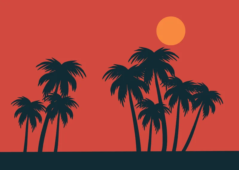 Palm Tree Silhouette Stickdatei – Natur