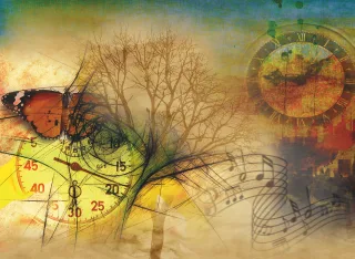 Clock Butterfly Grades Stickdatei