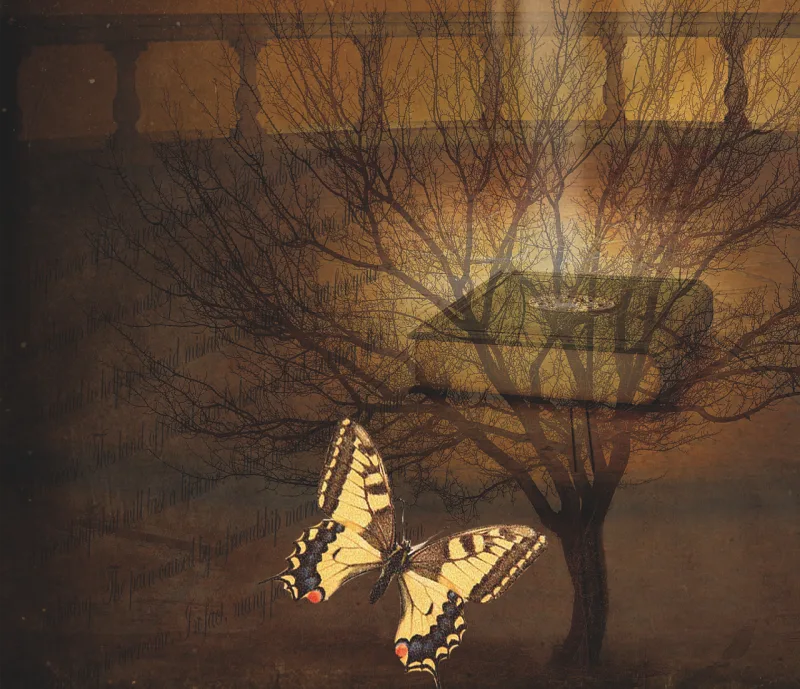 Tree A book Nature Stickdatei – Tiere