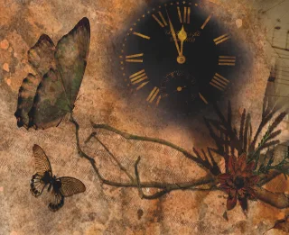 Clock Butterflies Nature Stickdatei