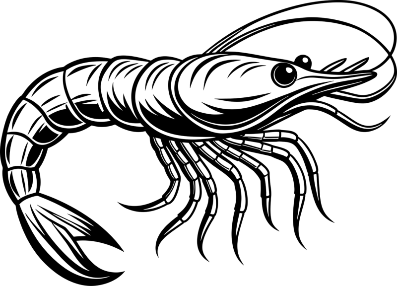 Ai generated Shrimp Crustacean Stickdatei – Sport