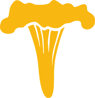 Chanterelle Mushroom Autumn Stickdatei