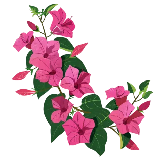 Mix flower Vector artwork Floral design Stickdatei