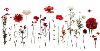 Mix flower Vector artwork Floral design Stickdatei