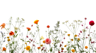 Mix flower Vector artwork Floral design Stickdatei
