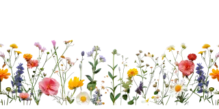 Mix flower Vector artwork Floral design Stickdatei