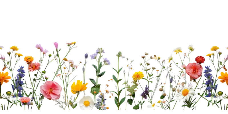 Mix flower Vector artwork Floral design Stickdatei – Blumen