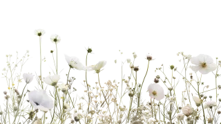 Mix flower Vector artwork Floral design Stickdatei