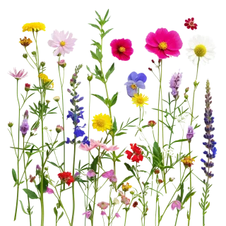 Mix flower Vector artwork Floral design Stickdatei