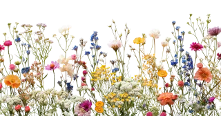 Mix flower Vector artwork Floral design Stickdatei