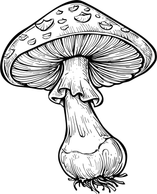 Ai generated Mushroom Toadstool Stickdatei