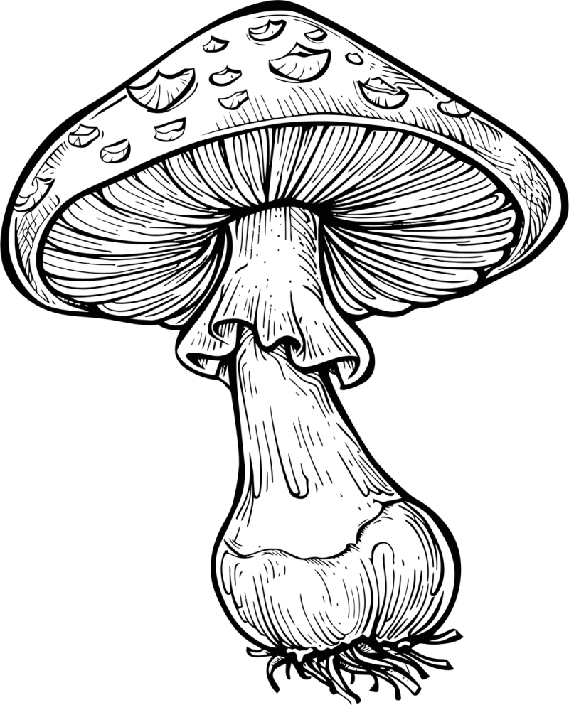 Ai generated Mushroom Toadstool Stickdatei – Natur