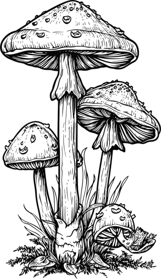Ai generated Mushrooms Toadstools Stickdatei