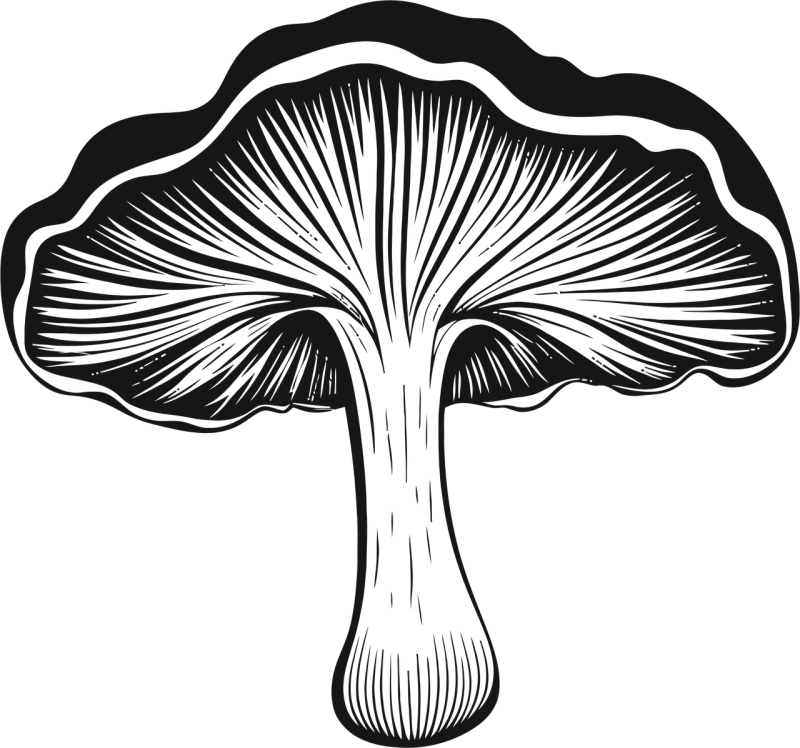 Ai generated Mushroom Plant Stickdatei – Natur