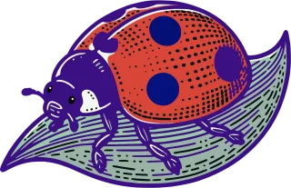 Ladybug Insect Ladybird beetle Stickdatei