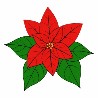 Poinsettia Flower wallpaper Beautiful flowers Stickdatei
