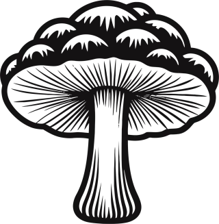 Simple mushroom vector Mushroom illustration Vector graphics Stickdatei