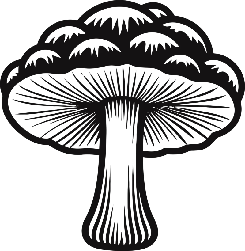Simple mushroom vector Mushroom illustration Vector graphics Stickdatei – Natur