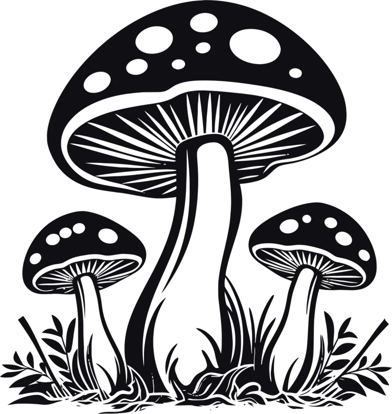 Ai generated Mushrooms Toadstools Stickdatei – Natur