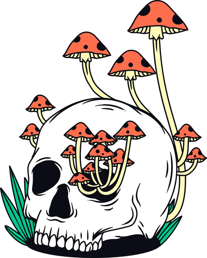 Skull Mushroom Skeleton Stickdatei – Natur