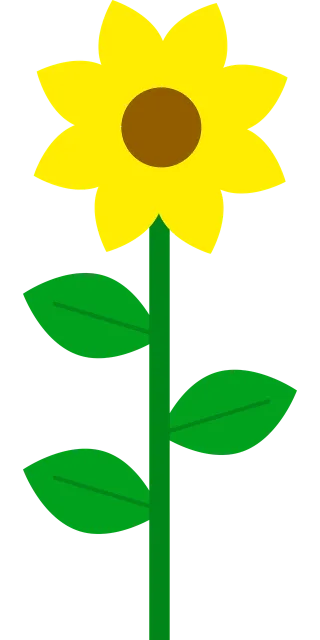 Sunflower Beautiful flowers Yellow Stickdatei