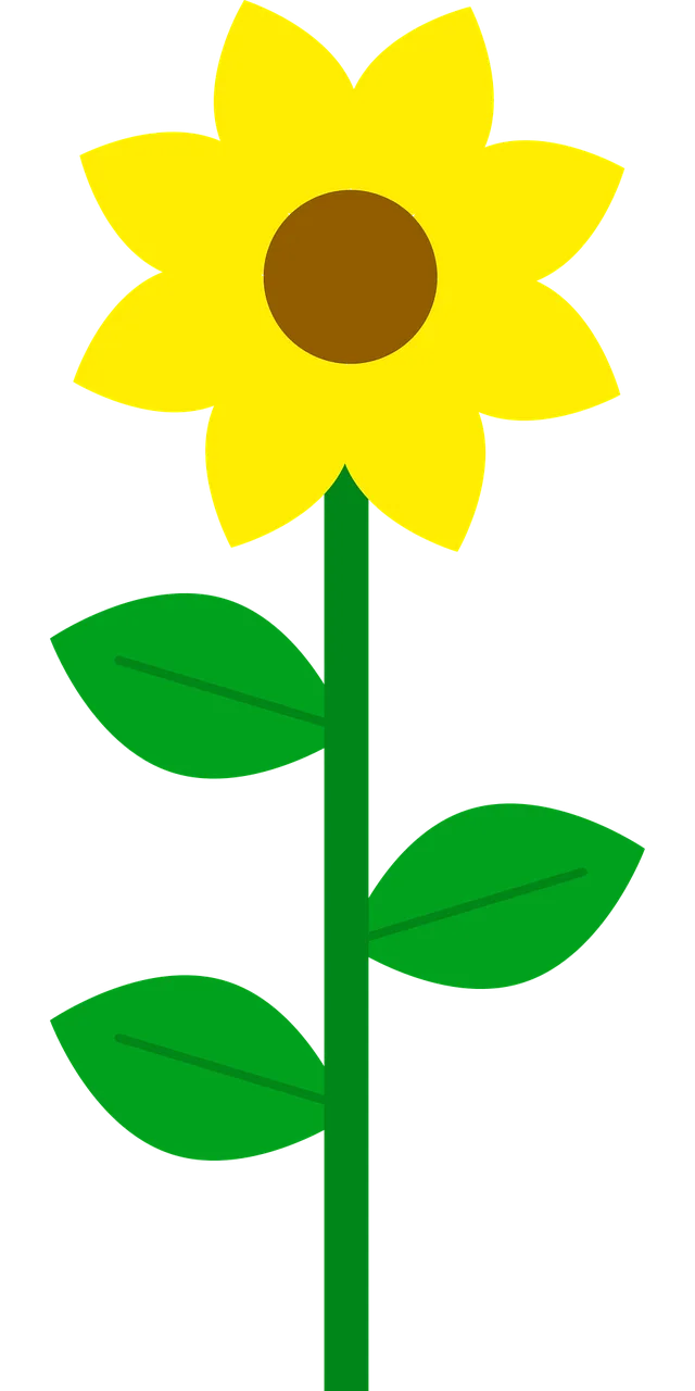 Sunflower Beautiful flowers Yellow Stickdatei – Blumen