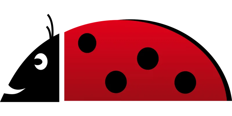 Ladybug Beetle Red Stickdatei – Tiere