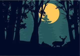 Forest Night Silhouette Stickdatei