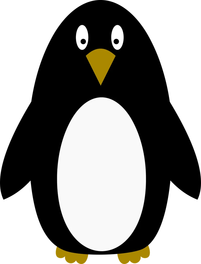 Penguin Bird Emperor penguin Stickdatei – Tiere