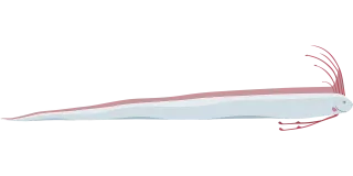 Oarfish Fish Animal Stickdatei