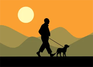 Walking Sunset Silhouette Stickdatei