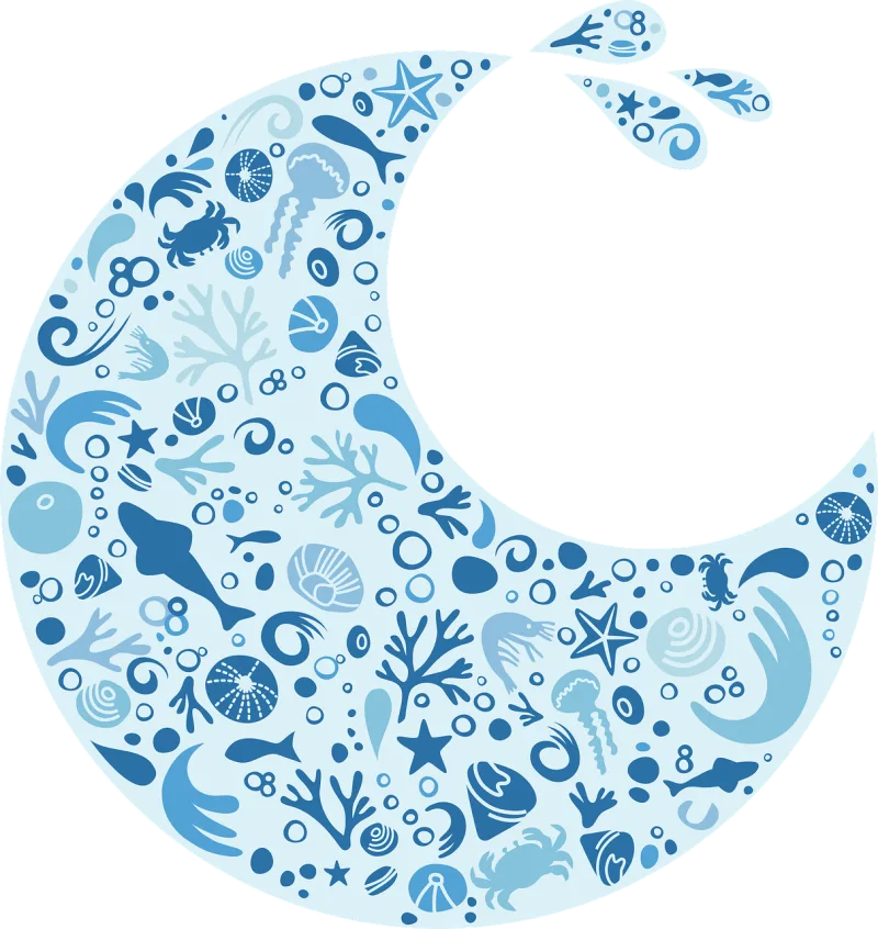 Wave Shapes Tiny Stickdatei – Natur
