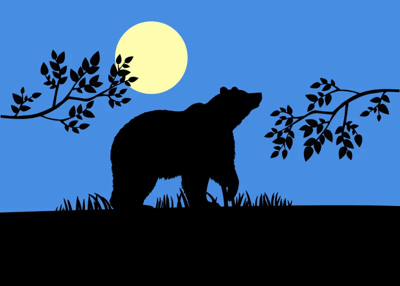 Bear Silhouette Moonlight Stickdatei – Tiere