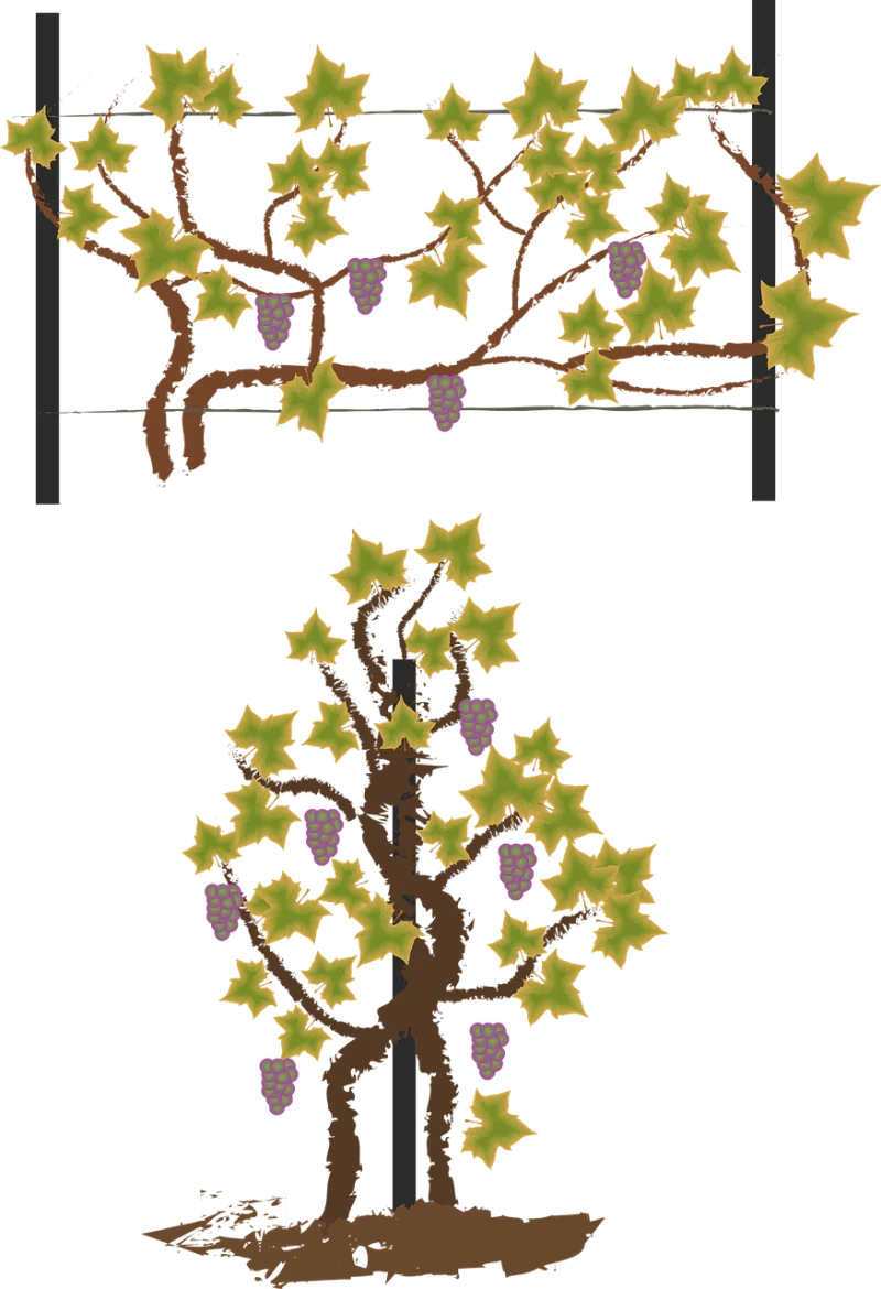Bower Plantation Car Stickdatei – Essen & Trinken