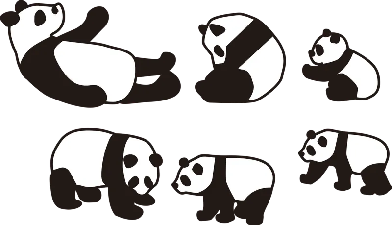 Panda Animal Bear Stickdatei – Tiere