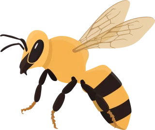 Honeybee Bee Insect Stickdatei