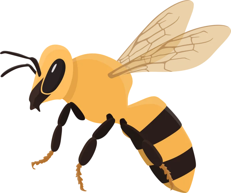 Honeybee Bee Insect Stickdatei – Tiere