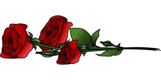 Roses Flowers Flower background Stickdatei
